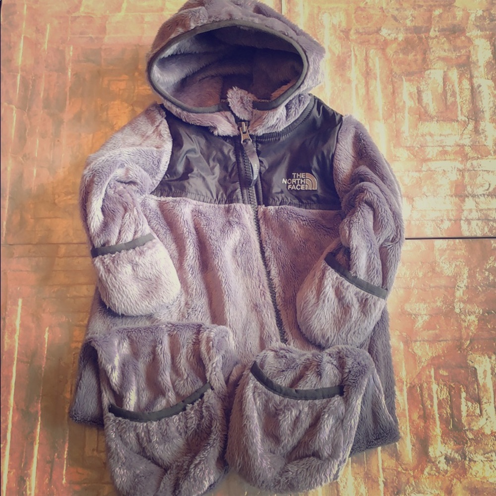 North face fleece snow suit (6-12 mo)